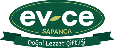 Ev-Ce Sapanca